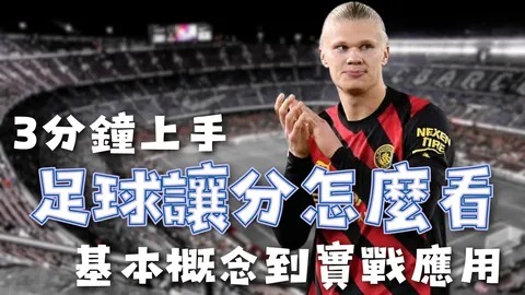 大乐透期号专家推荐：分析魔术队止颓机会